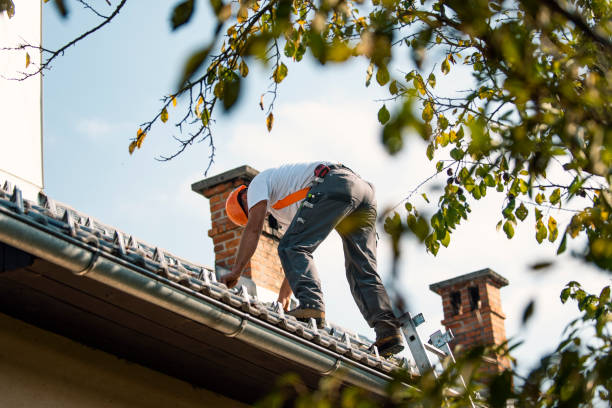 Best Sealant for Roof  in Capitol Heights, MD