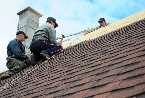Best Local Roofing Companies  in Capitol Heights, MD